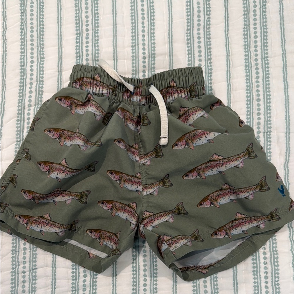 Fish Print Swim Shorts
